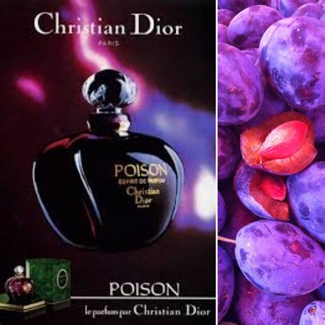 poison perfume myer|poison dior perfume 1985.